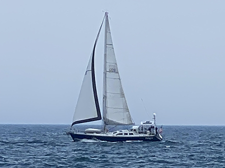 Makara